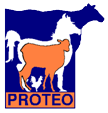 LOGO PROTEO (PNG)