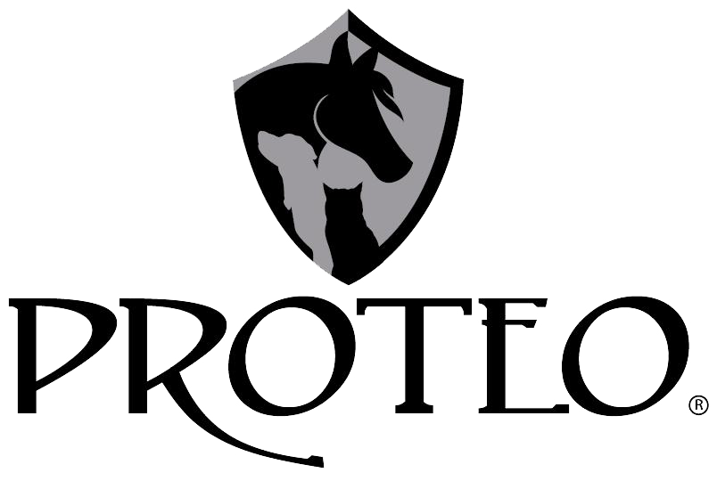 LogoProteo